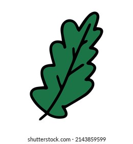 Fresh natural green leaf colored with stroke. Vector illustration in hand drawn style.