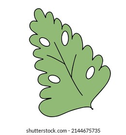 Fresh natural green leaf colored with stroke. Vector illustration in hand drawn style.