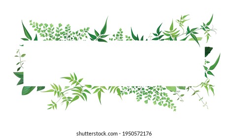 Fresh natural greenery leaves, branches, jasmine vine, forest fern, herbs botanical border, frame, text space. Vector editable watercolor art illustration. Poster banner, wedding invite, greeting card