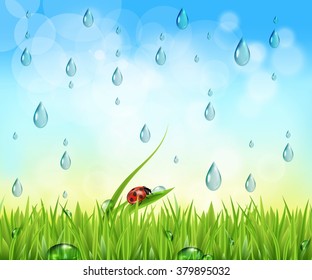 Fresh nature background with  water  drops and sky