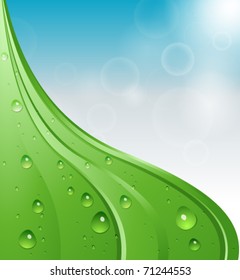 Fresh nature background with  water  drops and sky
