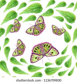 Fresh nature pattern with nettle leaves and butterflies, seamless vector illustration