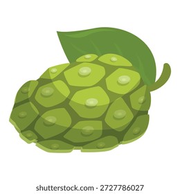 Frische Noni-Früchte mit Blättern, die gesunde Ernährung und natürliche Heilmittel darstellen