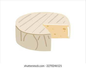 Fresh, nutritious, delicious cheese. Hand draw vector illustration of brie cheese on a white background.