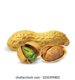 Fresh, nutritious pistachios, tasty peanut. Nuts ingredients in triangulation technique. Vector illustration. Nuts ingredients in triangulation technique. Peanut and pistachios  low poly