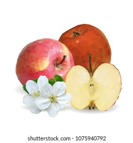 Fresh, nutritious and tasty apples. Bloom of apples. Symbols of berries. Elements for label design. Vector illustration. Fruits ingredients in triangulation technique. Apples low poly.