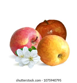 Fresh, nutritious and tasty apples. Bloom of apples. Symbols of berries. Elements for label design. Vector illustration. Fruits ingredients in triangulation technique. Apples low poly.