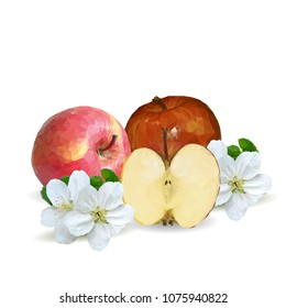 Fresh, nutritious and tasty apples. Bloom of apples. Symbols of berries. Elements for label design. Vector illustration. Fruits ingredients in triangulation technique. Apples low poly.