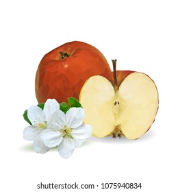 Fresh, nutritious and tasty apples. Bloom of apples. Symbols of berries. Elements for label design. Vector illustration. Fruits ingredients in triangulation technique. Apples low poly.