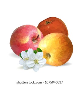 Fresh, nutritious and tasty apples. Bloom of apples. Symbols of berries. Elements for label design. Vector illustration. Fruits ingredients in triangulation technique. Apples low poly.