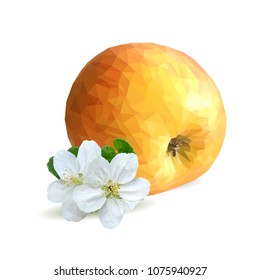 Fresh, nutritious and tasty apples. Bloom of apples. Symbols of berries. Elements for label design. Vector illustration. Fruits ingredients in triangulation technique. Apples low poly.