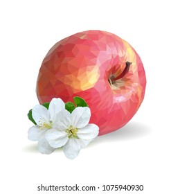 Fresh, nutritious and tasty apples. Bloom of apples. Symbols of berries. Elements for label design. Vector illustration. Fruits ingredients in triangulation technique. Apples low poly.