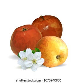 Fresh, nutritious and tasty apples. Bloom of apples. Symbols of berries. Elements for label design. Vector illustration. Fruits ingredients in triangulation technique. Apples low poly.