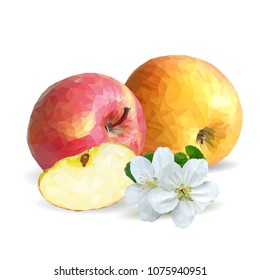 Fresh, nutritious and tasty apples. Bloom of apples. Symbols of berries. Elements for label design. Vector illustration. Fruits ingredients in triangulation technique. Apples low poly.
