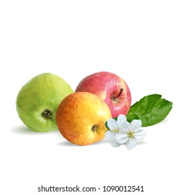 Fresh, nutritious and tasty apples. Bloom of apples. Symbols of berries. Elements for label design. Vector illustration. Fruits ingredients in triangulation technique. Apples low poly.