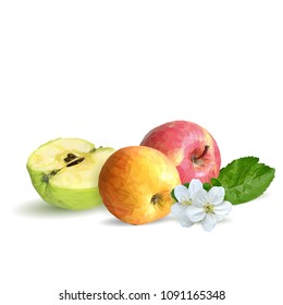 Fresh, nutritious and tasty apples. Bloom of apples. Symbols of fruits. Elements for label design. Vector illustration. Fruits ingredients in triangulation technique. Apples low poly.