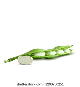 Fresh, nutritious, tasty beans. Delicious and healthy dinner. Elements for label design. Vector illustration. Legumes ingredients in triangulation technique. Beans low poly. 