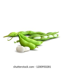 Fresh, nutritious, tasty beans. Delicious and healthy dinner. Elements for label design. Vector illustration. Legumes ingredients in triangulation technique. Beans low poly. 