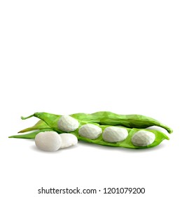 Fresh, nutritious, tasty beans. Delicious and healthy dinner. Elements for label design. Vector illustration. Legumes ingredients in triangulation technique. Beans low poly. 