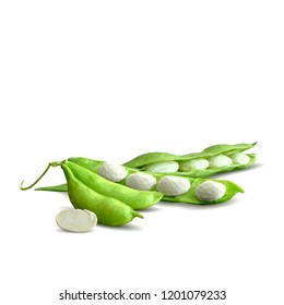 Fresh, nutritious, tasty beans. Delicious and healthy dinner. Elements for label design. Vector illustration. Legumes ingredients in triangulation technique. Beans low poly. 