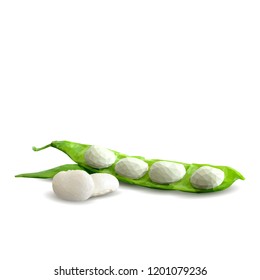 Fresh, nutritious, tasty beans. Delicious and healthy dinner. Elements for label design. Vector illustration. Legumes ingredients in triangulation technique. Beans low poly. 