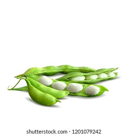 Fresh, nutritious, tasty beans. Delicious and healthy dinner. Elements for label design. Vector illustration. Legumes ingredients in triangulation technique. Beans low poly. 