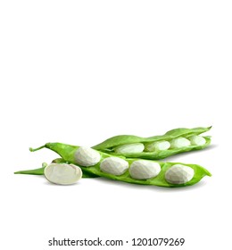 Fresh, nutritious, tasty beans. Delicious and healthy dinner. Elements for label design. Vector illustration. Legumes ingredients in triangulation technique. Beans low poly. 