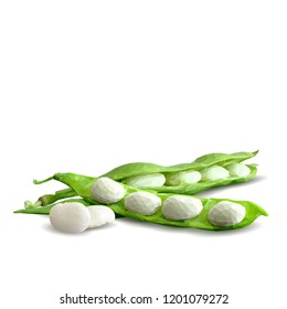 Fresh, nutritious, tasty beans. Delicious and healthy dinner. Elements for label design. Vector illustration. Legumes ingredients in triangulation technique. Beans low poly. 