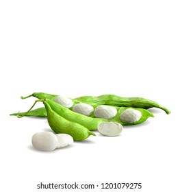 Fresh, nutritious, tasty beans. Delicious and healthy dinner. Elements for label design. Vector illustration. Legumes ingredients in triangulation technique. Beans low poly. 