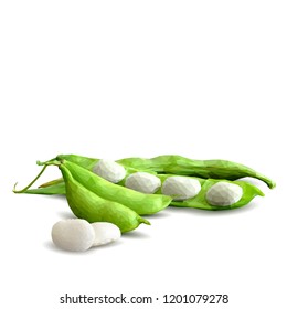 Fresh, nutritious, tasty beans. Delicious and healthy dinner. Elements for label design. Vector illustration. Legumes ingredients in triangulation technique. Beans low poly. 