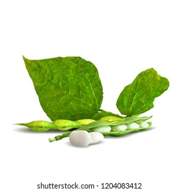 Fresh, nutritious, tasty beans. Delicious and healthy dinner. Elements for label design. Vector illustration. Legumes ingredients in triangulation technique. Beans low poly. 
