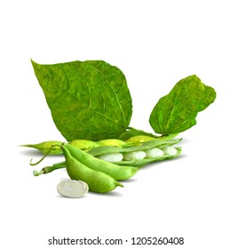 Fresh, nutritious, tasty beans. Delicious and healthy dinner. Elements for label design. Vector illustration. Legumes ingredients in triangulation technique. Beans low poly. 