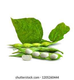 Fresh, nutritious, tasty beans. Delicious and healthy dinner. Elements for label design. Vector illustration. Legumes ingredients in triangulation technique. Beans low poly. 