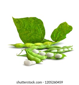 Fresh, nutritious, tasty beans. Delicious and healthy dinner. Elements for label design. Vector illustration. Legumes ingredients in triangulation technique. Beans low poly. 