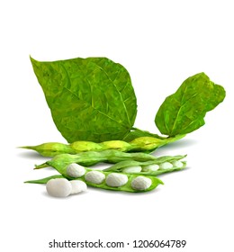 Fresh, nutritious, tasty beans. Delicious and healthy dinner. Elements for label design. Vector illustration. Legumes ingredients in triangulation technique. Beans low poly. 