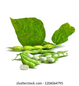 Fresh, nutritious, tasty beans. Delicious and healthy dinner. Elements for label design. Vector illustration. Legumes ingredients in triangulation technique. Beans low poly. 