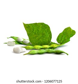 Fresh, nutritious, tasty beans. Delicious and healthy dinner. Elements for label design. Vector illustration. Legumes ingredients in triangulation technique. Beans low poly. 