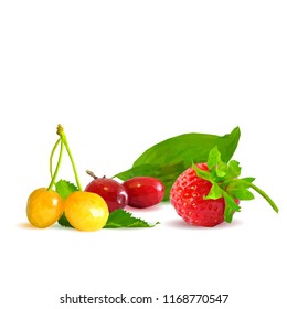 Fresh, nutritious and tasty berry mix. A mixture of berries. Symbols of berries. Elements for label design. Vector illustration. Berries ingredients in triangulation technique. Berry mix low poly.