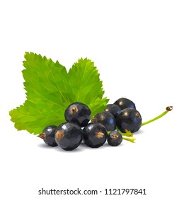 Fresh, nutritious and tasty black currant. Symbols of berries. Elements for label design. Vector illustration. Berries ingredients in triangulation technique. Black currant low poly.