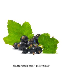Fresh, nutritious and tasty black currant. Symbols of berries. Elements for label design. Vector illustration. Berries ingredients in triangulation technique. Black currant low poly.