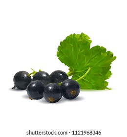 Fresh, nutritious and tasty black currant. Symbols of berries. Elements for label design. Vector illustration. Berries ingredients in triangulation technique. Black currant low poly.