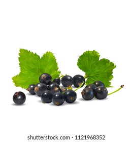 Fresh, nutritious and tasty black currant. Symbols of berries. Elements for label design. Vector illustration. Berries ingredients in triangulation technique. Black currant low poly.