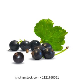 Fresh, nutritious and tasty black currant. Symbols of berries. Elements for label design. Vector illustration. Berries ingredients in triangulation technique. Black currant low poly.