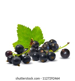 Fresh, nutritious and tasty black currant. Symbols of berries. Elements for label design. Vector illustration. Berries ingredients in triangulation technique. Black currant low poly.