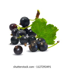 Fresh, nutritious and tasty black currant. Symbols of berries. Elements for label design. Vector illustration. Berries ingredients in triangulation technique. Black currant low poly.