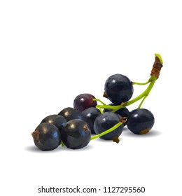 Fresh, nutritious and tasty black currant. Symbols of berries. Elements for label design. Vector illustration. Berries ingredients in triangulation technique. Black currant low poly.