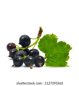 Fresh, nutritious and tasty black currant. Symbols of berries. Elements for label design. Vector illustration. Berries ingredients in triangulation technique. Black currant low poly.