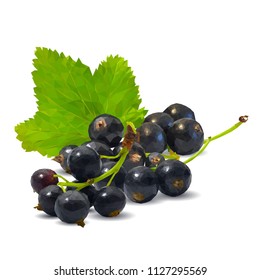 Fresh, nutritious and tasty black currant. Symbols of berries. Elements for label design. Vector illustration. Berries ingredients in triangulation technique. Black currant low poly.