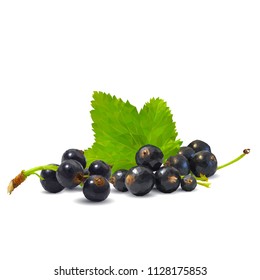 Fresh, nutritious and tasty black currant. Symbols of berries. Elements for label design. Vector illustration. Berries ingredients in triangulation technique. Black currant low poly.
