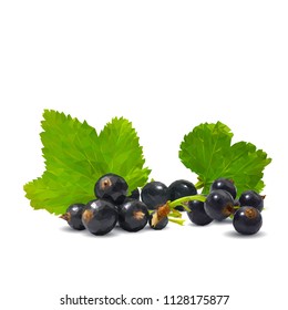 Fresh, nutritious and tasty black currant. Symbols of berries. Elements for label design. Vector illustration. Berries ingredients in triangulation technique. Black currant low poly.